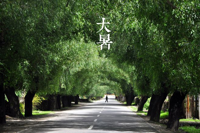 大暑丨葡園消煩暑，夢涼天地寬