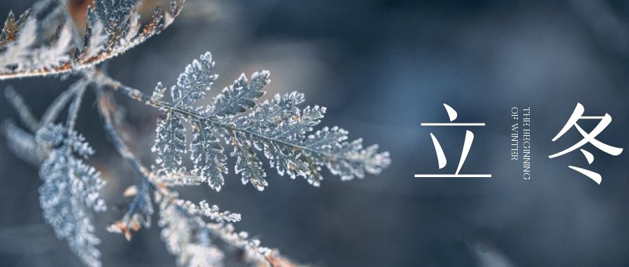 立冬 ▎朔風(fēng)始起，萬物境藏