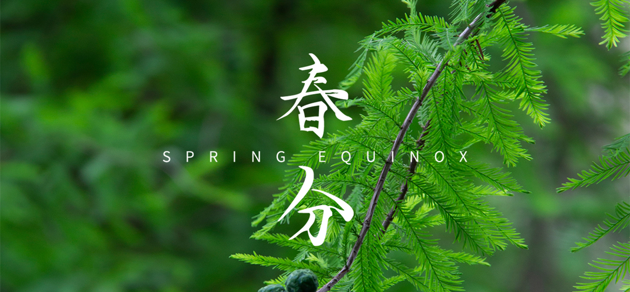 春分 ▎不負(fù)春光，萬物生長