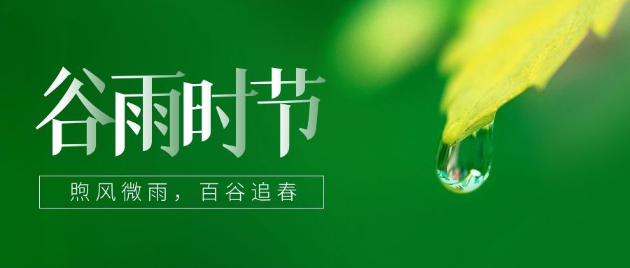 谷雨 ▎雨生百谷，鎖住一抹春色