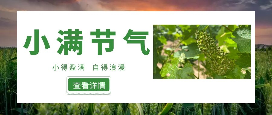 小滿 ▎小得盈滿，自得浪漫~