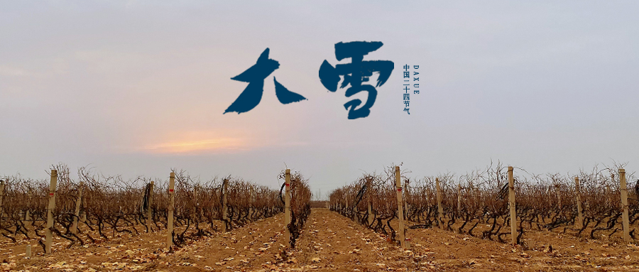 大雪 ▎世界留白，天地靜美