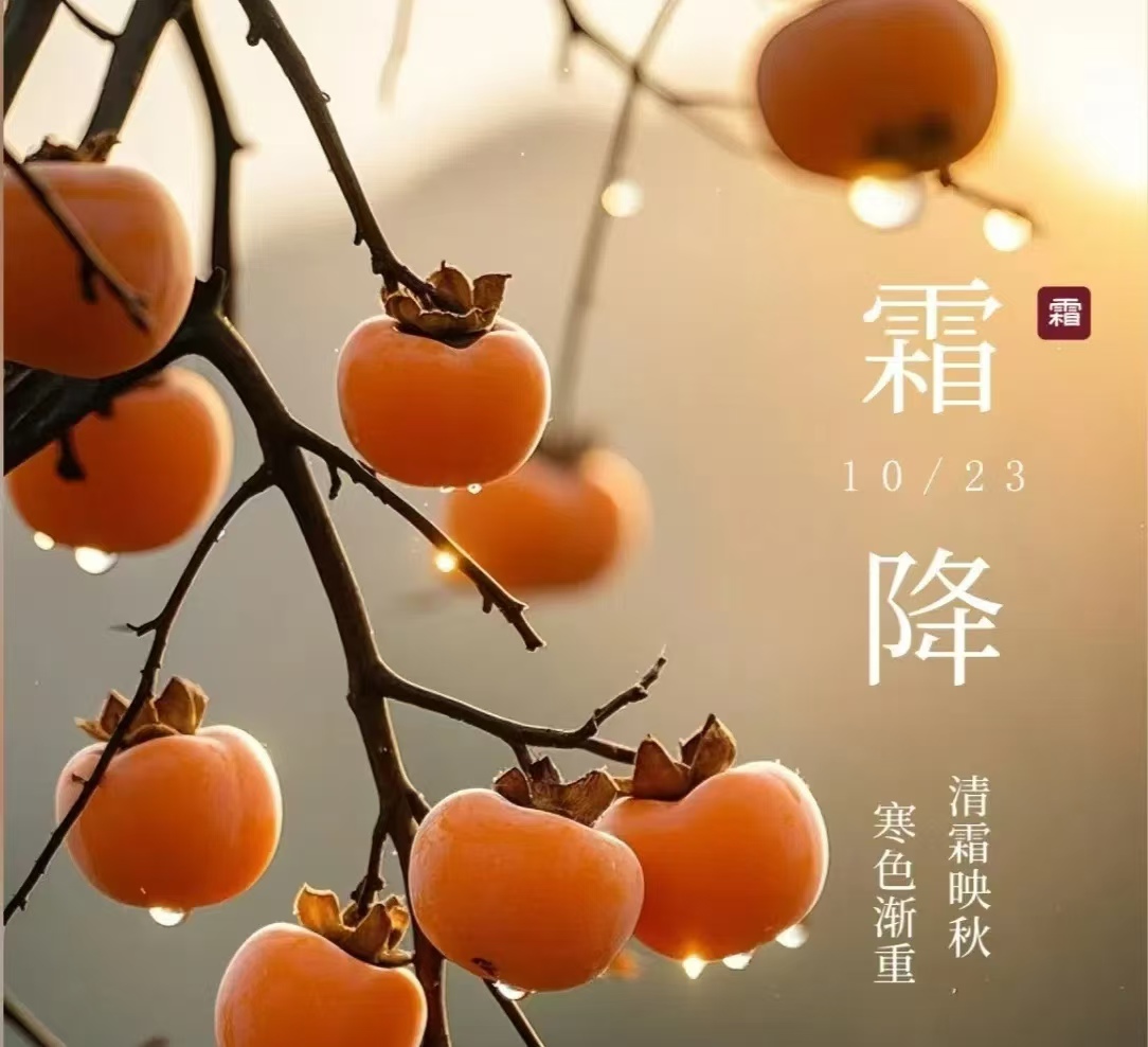 霜降||人間至此秋色盡，草木搖落露為霜